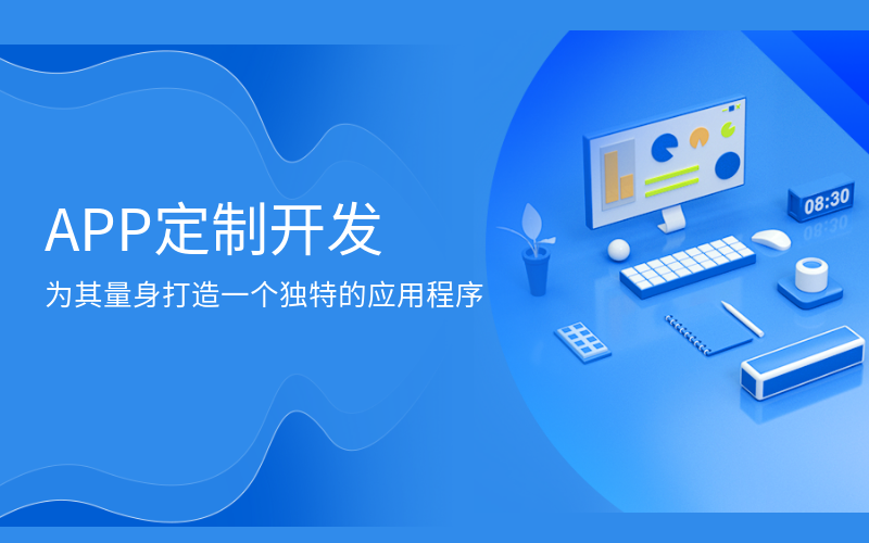 APP定制开发